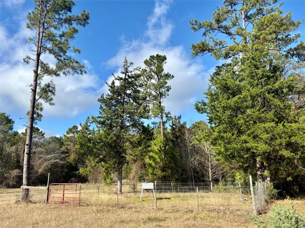 235 Private Road 6912 Colmesneil, TX 75938