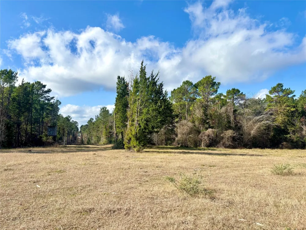 235 Private Road 6912 Colmesneil, TX 75938