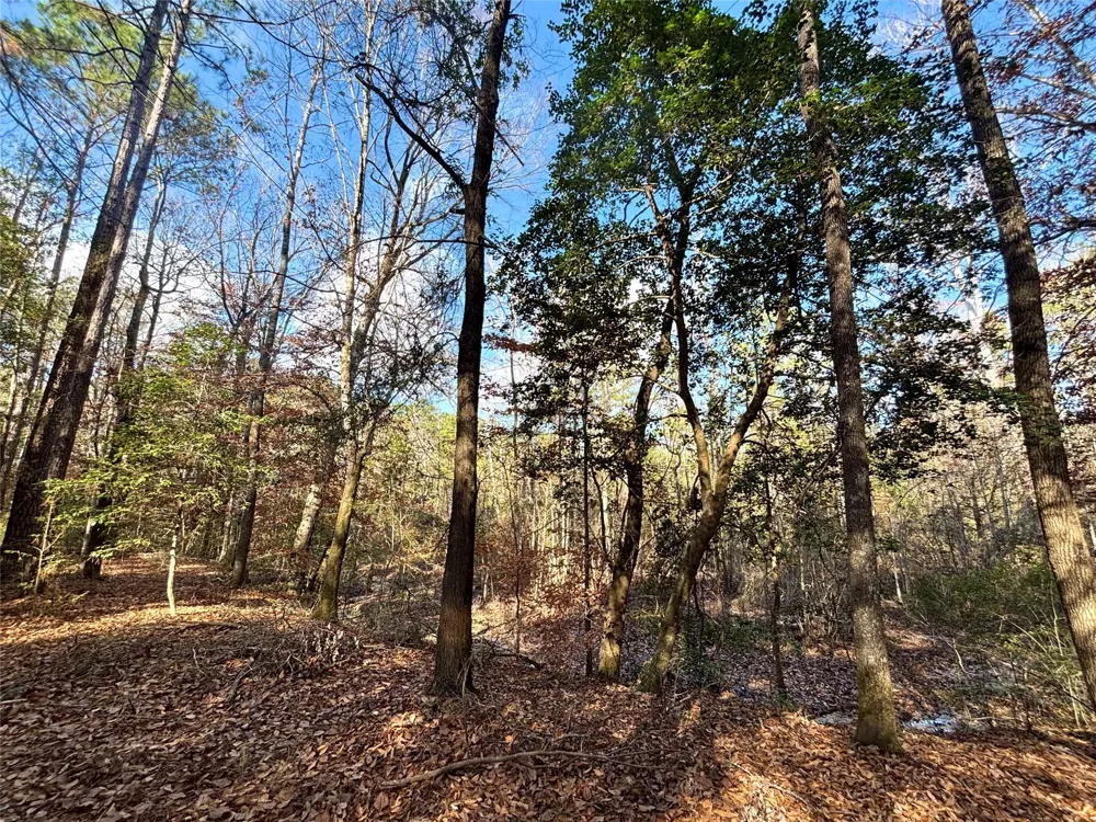 235 Private Road 6912 Colmesneil, TX 75938