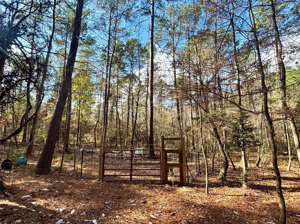235 Private Road 6912 Colmesneil, TX 75938