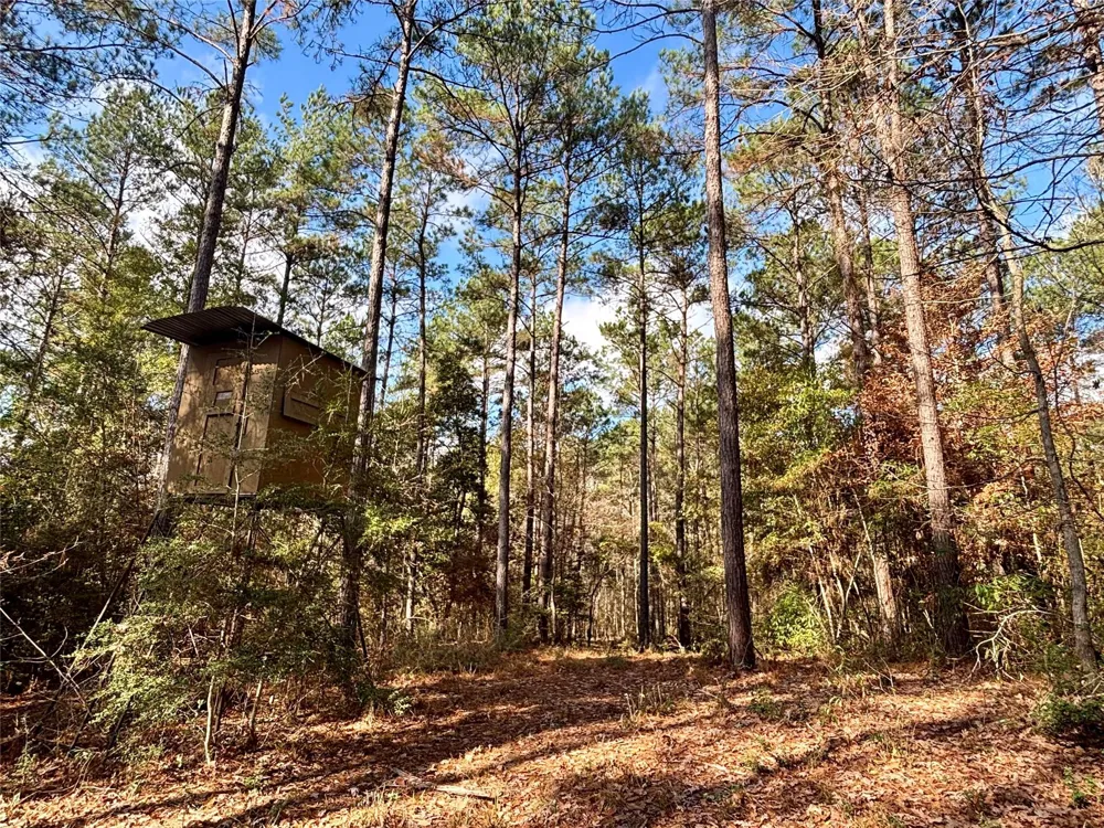 235 Private Road 6912 Colmesneil, TX 75938