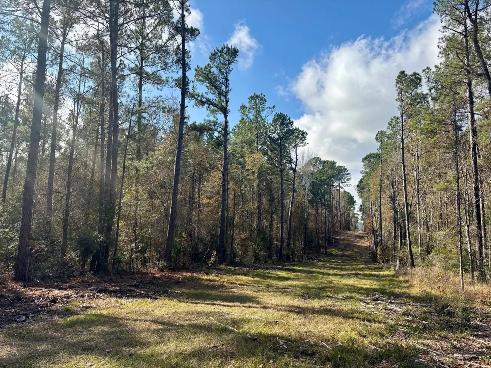 235 Private Road 6912 Colmesneil, TX 75938