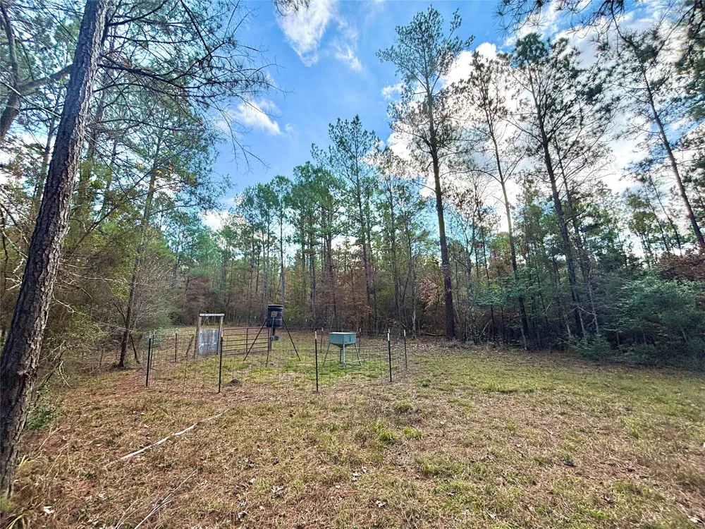 235 Private Road 6912 Colmesneil, TX 75938
