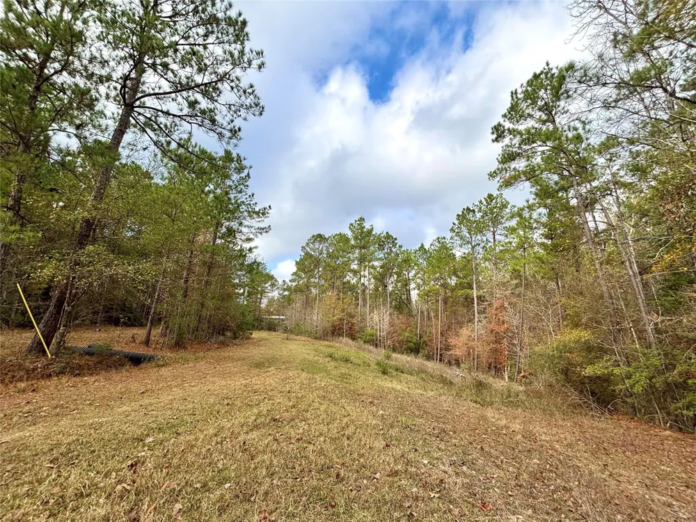 235 Private Road 6912 Colmesneil, TX 75938