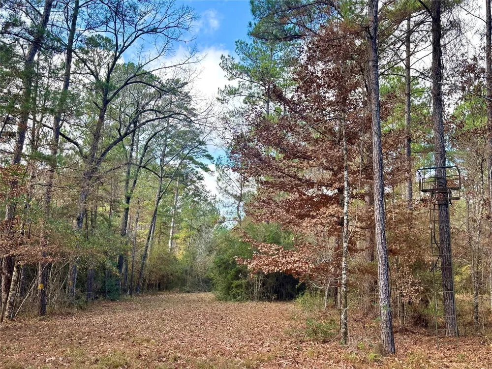 235 Private Road 6912 Colmesneil, TX 75938