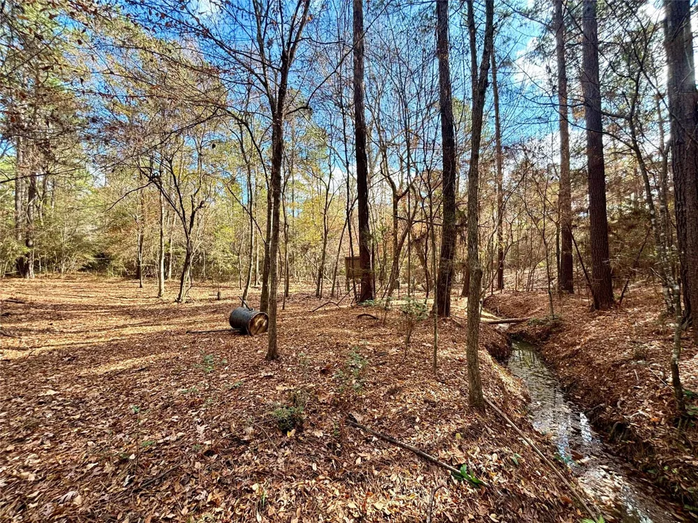 235 Private Road 6912 Colmesneil, TX 75938