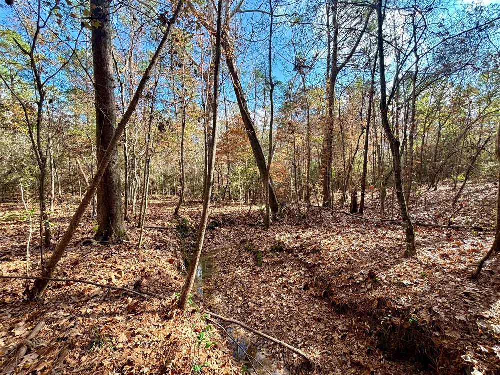 235 Private Road 6912 Colmesneil, TX 75938