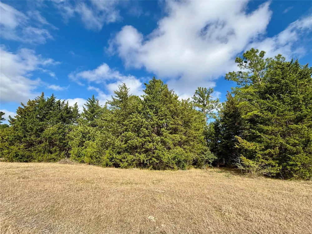 235 Private Road 6912 Colmesneil, TX 75938