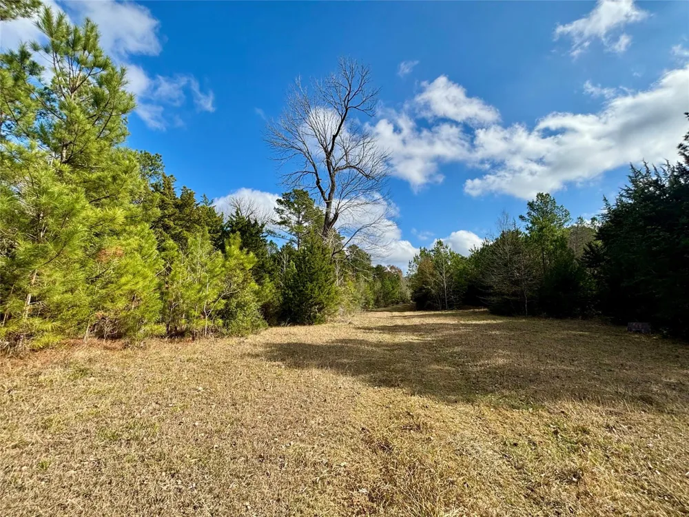 235 Private Road 6912 Colmesneil, TX 75938