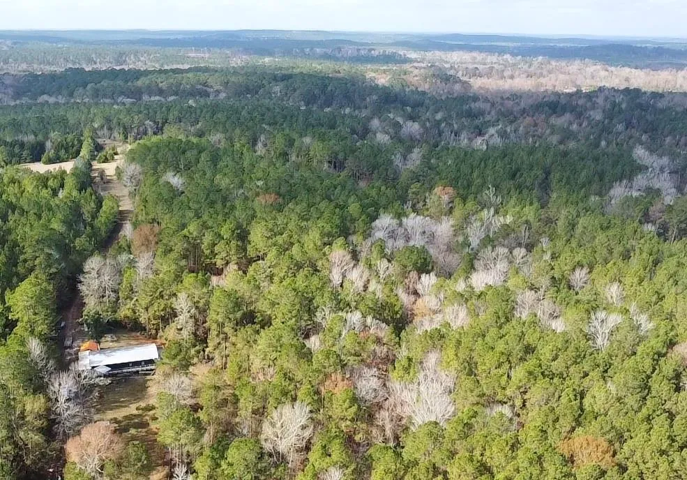 235 Private Road 6912 Colmesneil, TX 75938