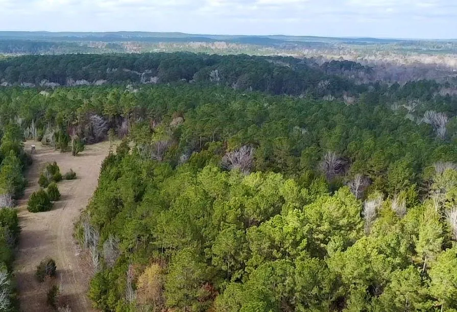 235 Private Road 6912 Colmesneil, TX 75938