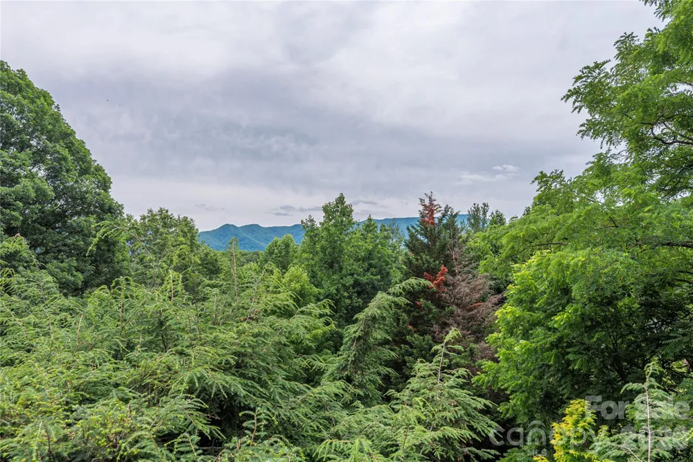 94 Oakcrest Lane Waynesville, NC 28786