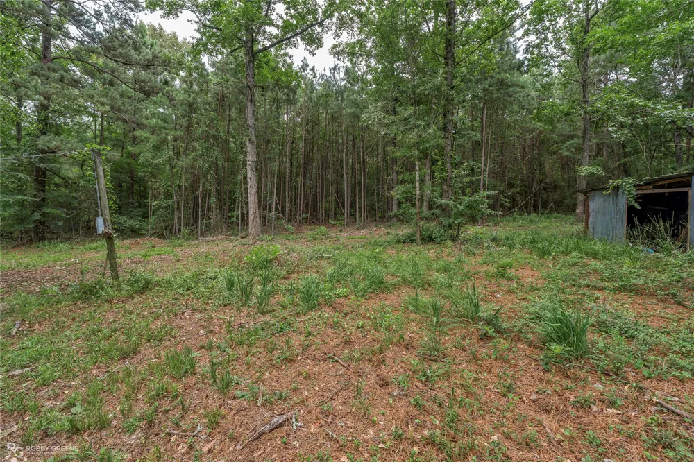 175 Magnolia Road Dubberly, LA 71024