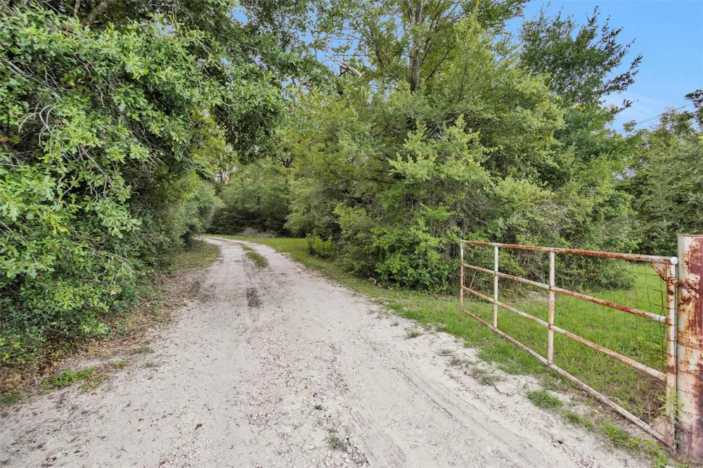 943 Fm 2989 Midway, TX 75852