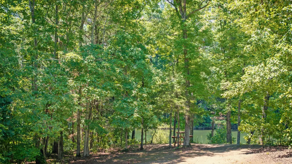 882 Lower River Road Decatur, TN 37322