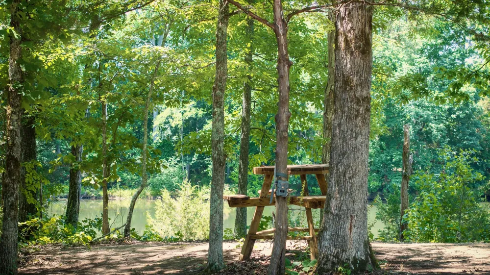 882 Lower River Road Decatur, TN 37322