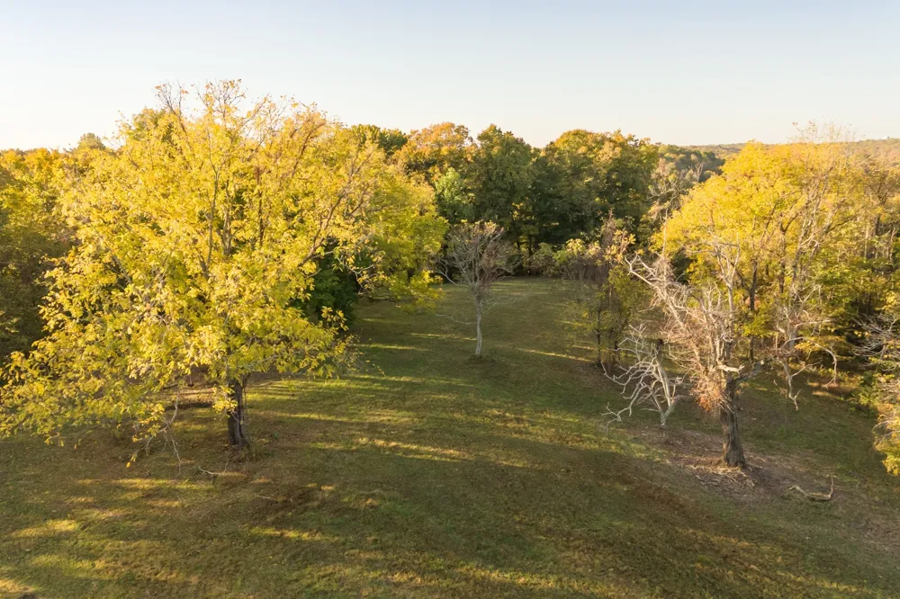 3899 Boston Theta Road Thompsons Station, TN 37179