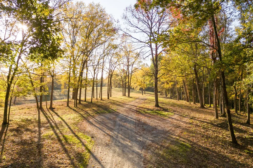 3899 Boston Theta Road Thompsons Station, TN 37179
