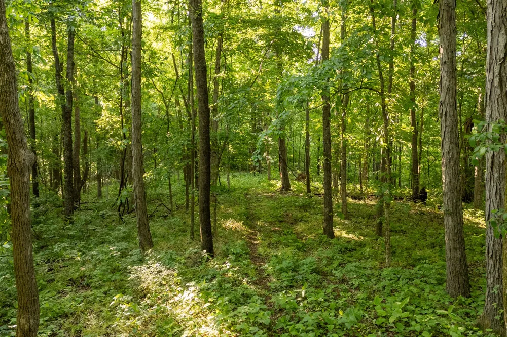 3899 Boston Theta Road Thompsons Station, TN 37179