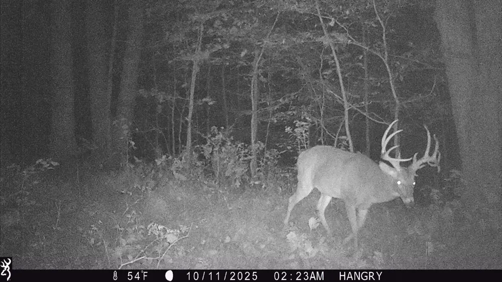 3899 Boston Theta Road Thompsons Station, TN 37179