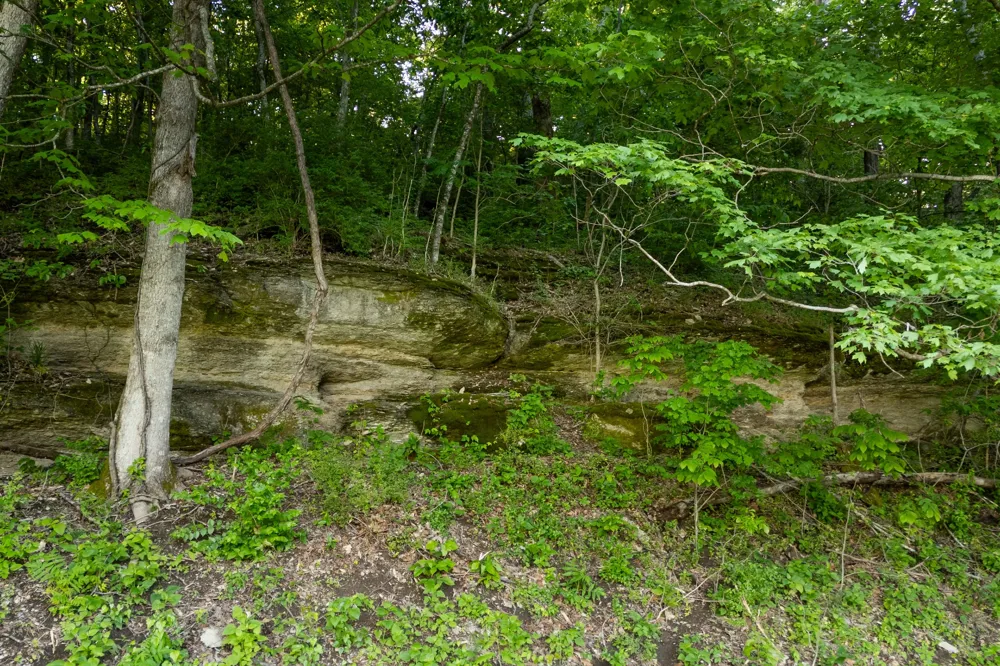 3899 Boston Theta Road Thompsons Station, TN 37179
