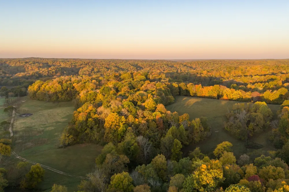 3899 Boston Theta Road Thompsons Station, TN 37179