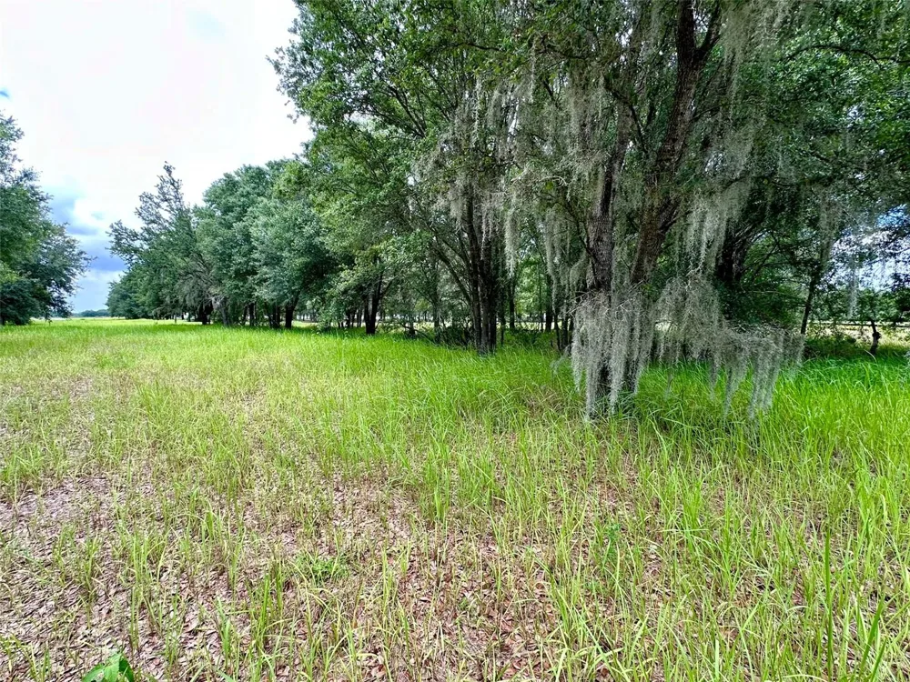 4946 WAUCHULA RD Myakka City, FL 34251