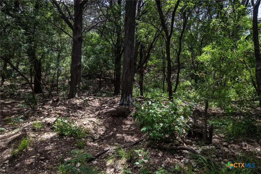 Dry Creek Crossing New Braunfels, TX 78130