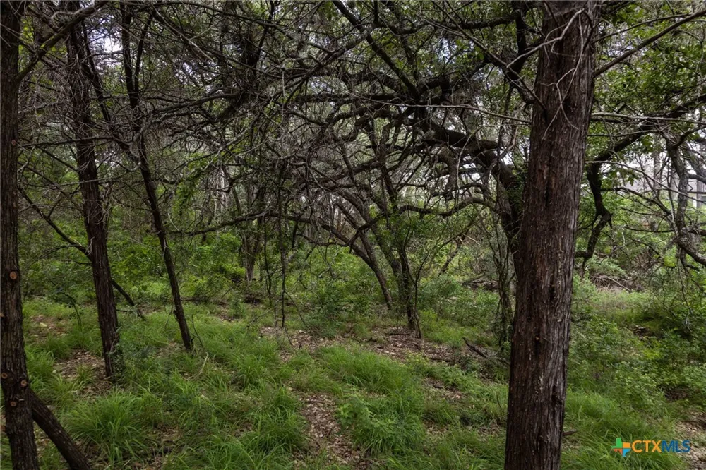 Dry Creek Crossing New Braunfels, TX 78130