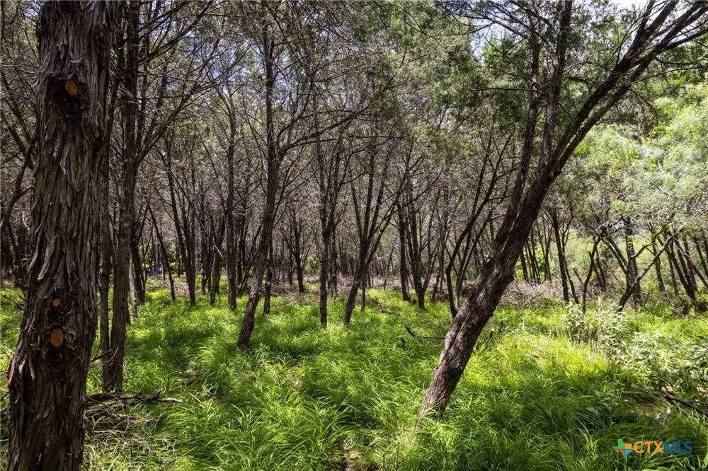 Dry Creek Crossing New Braunfels, TX 78130