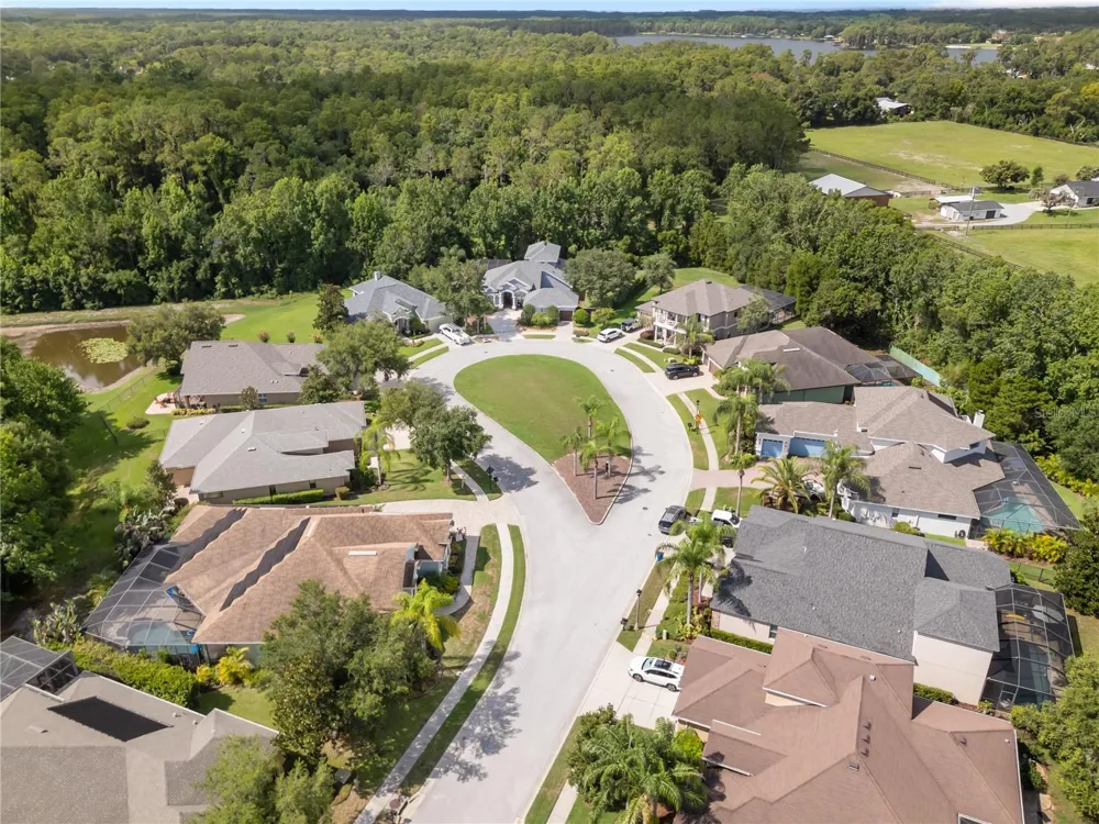 14834 MAN O WAR DRIVE Odessa, FL 33556