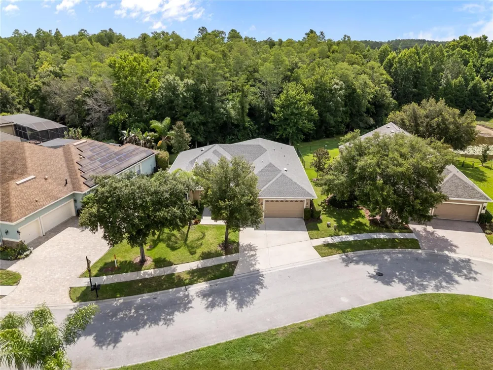 14834 MAN O WAR DRIVE Odessa, FL 33556