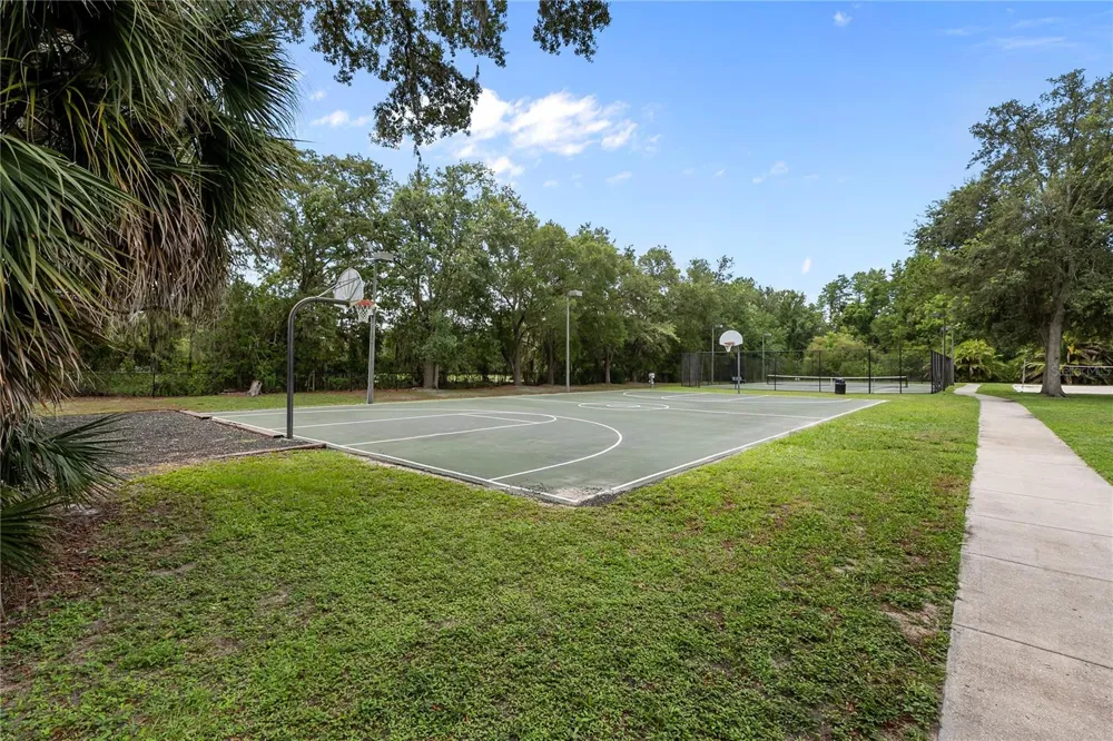 14834 MAN O WAR DRIVE Odessa, FL 33556