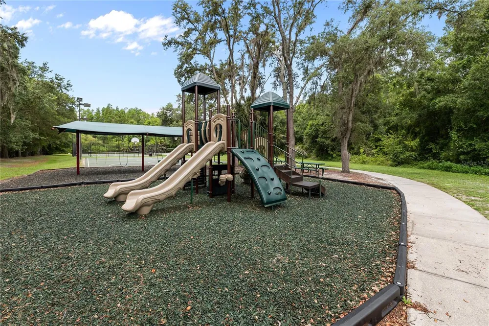 14834 MAN O WAR DRIVE Odessa, FL 33556