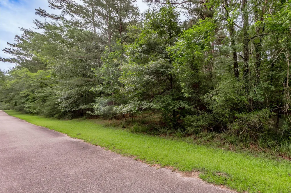 4 Sweetgum Drive Trinity, TX 75862