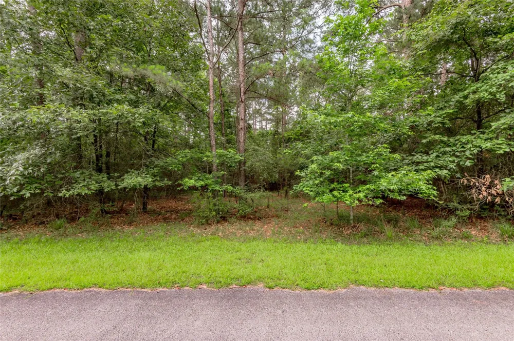 4 Sweetgum Drive Trinity, TX 75862