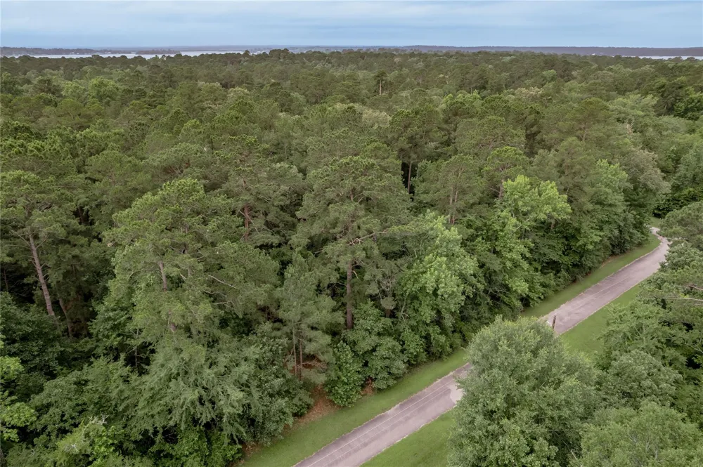 4 Sweetgum Drive Trinity, TX 75862