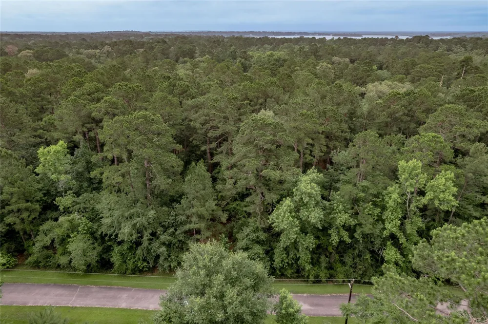 4 Sweetgum Drive Trinity, TX 75862
