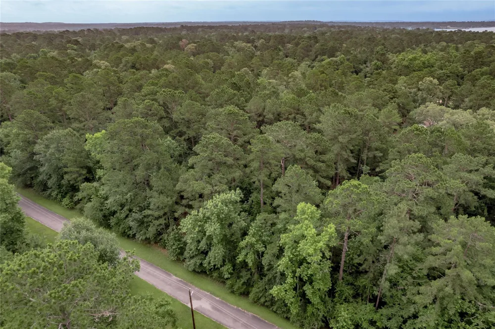 4 Sweetgum Drive Trinity, TX 75862