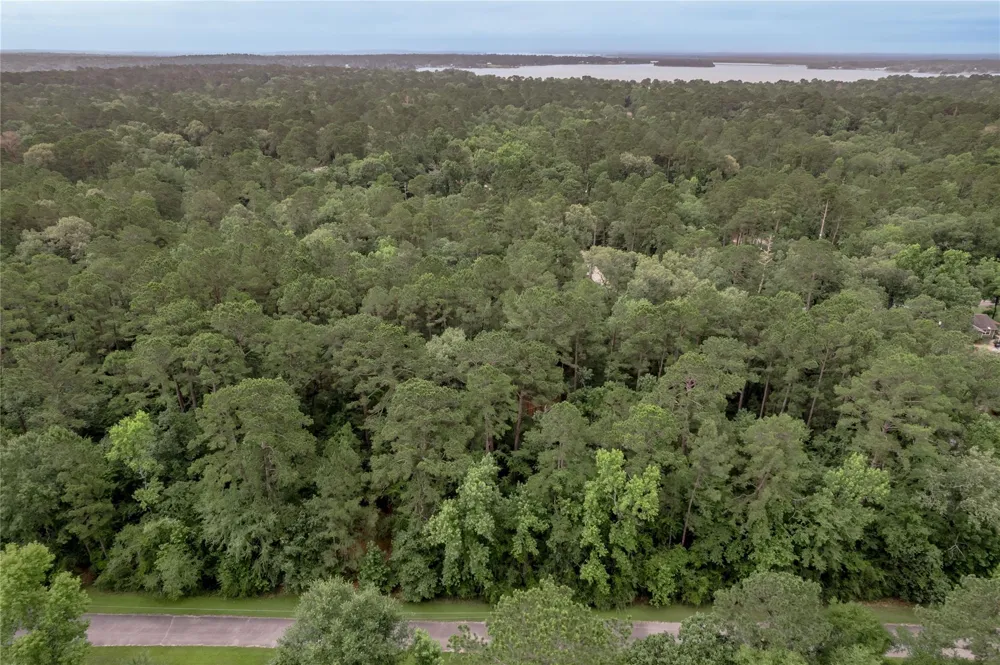 4 Sweetgum Drive Trinity, TX 75862