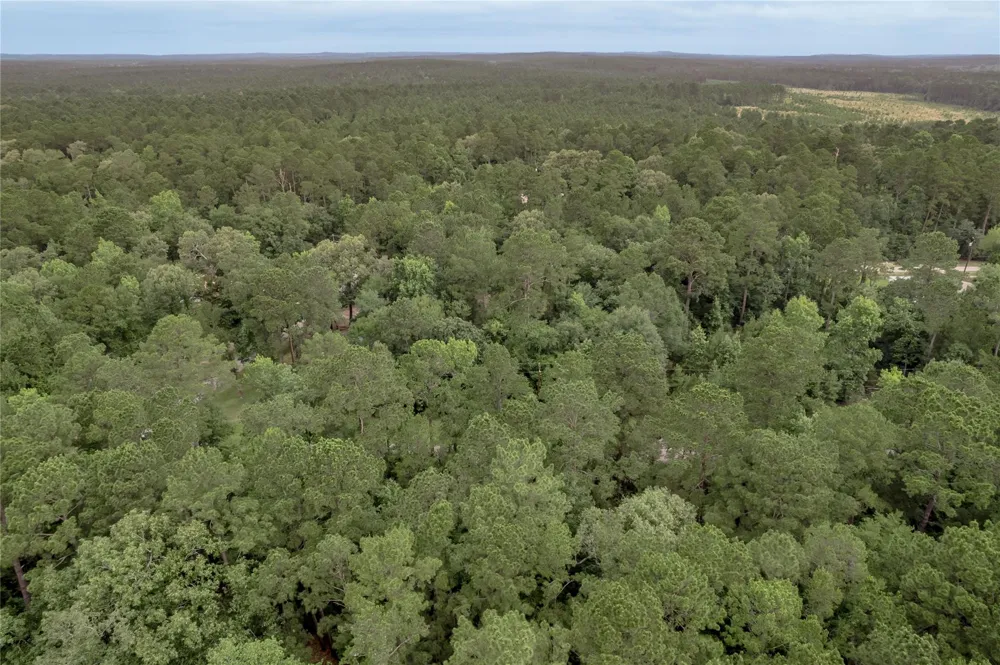 4 Sweetgum Drive Trinity, TX 75862