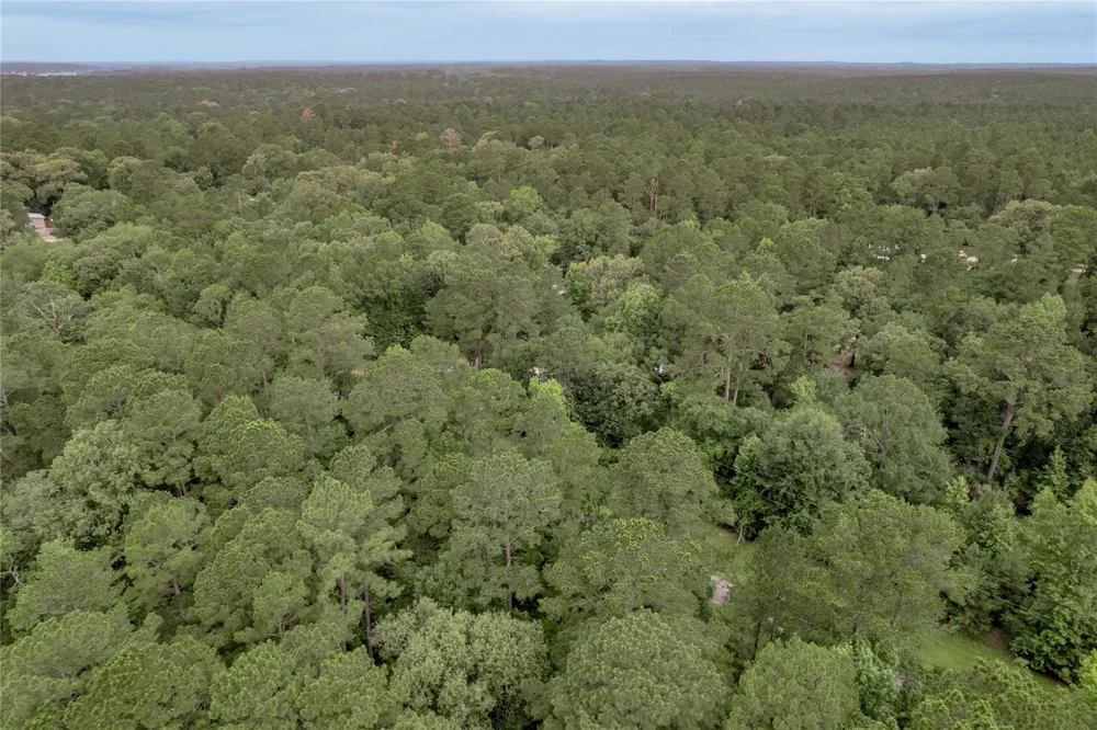 4 Sweetgum Drive Trinity, TX 75862