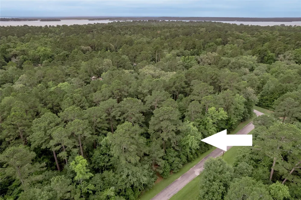 4 Sweetgum Drive Trinity, TX 75862