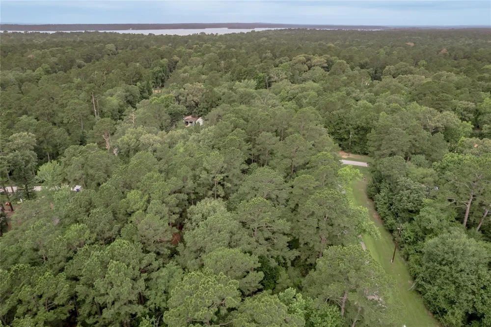 4 Sweetgum Drive Trinity, TX 75862