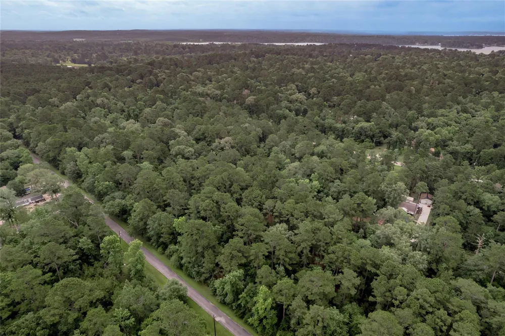 4 Sweetgum Drive Trinity, TX 75862