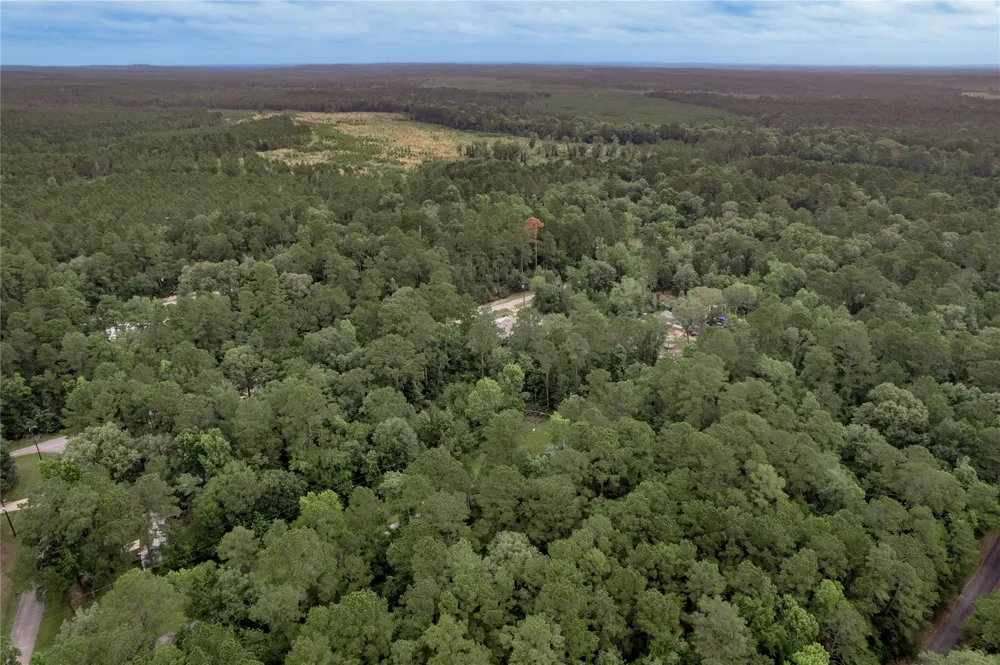 4 Sweetgum Drive Trinity, TX 75862