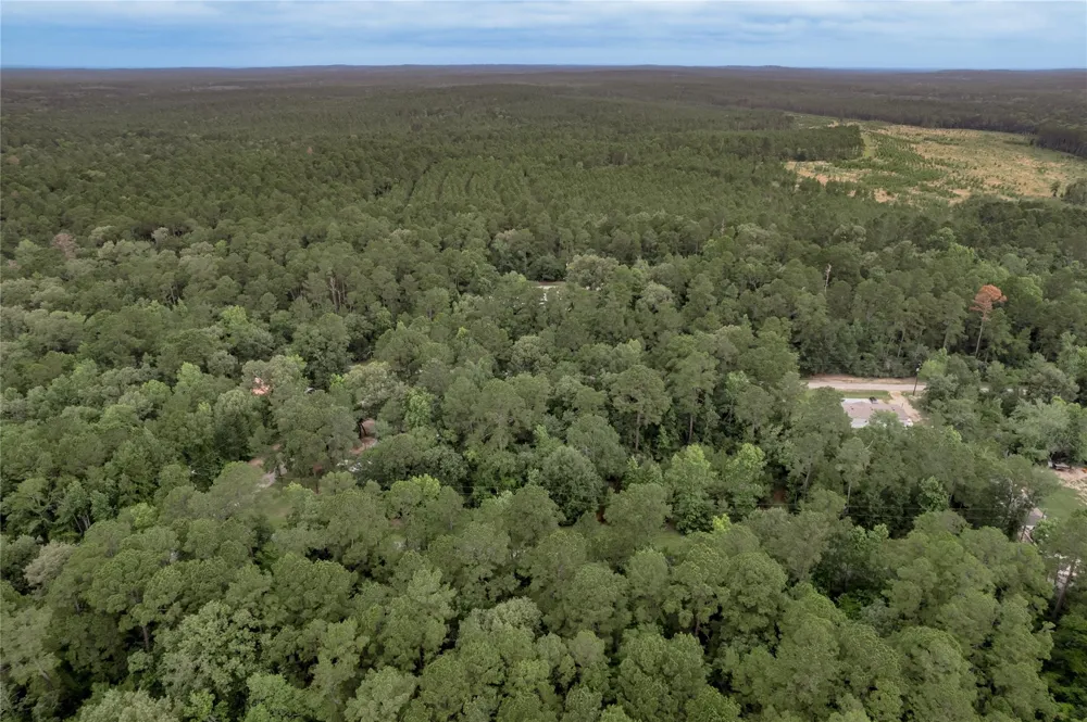 4 Sweetgum Drive Trinity, TX 75862