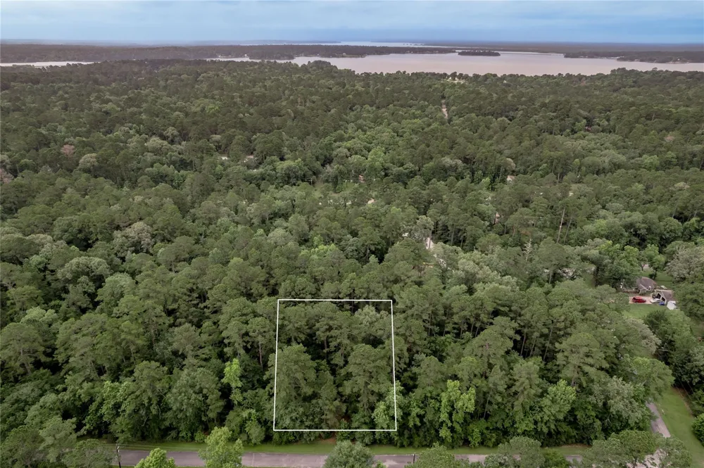 4 Sweetgum Drive Trinity, TX 75862