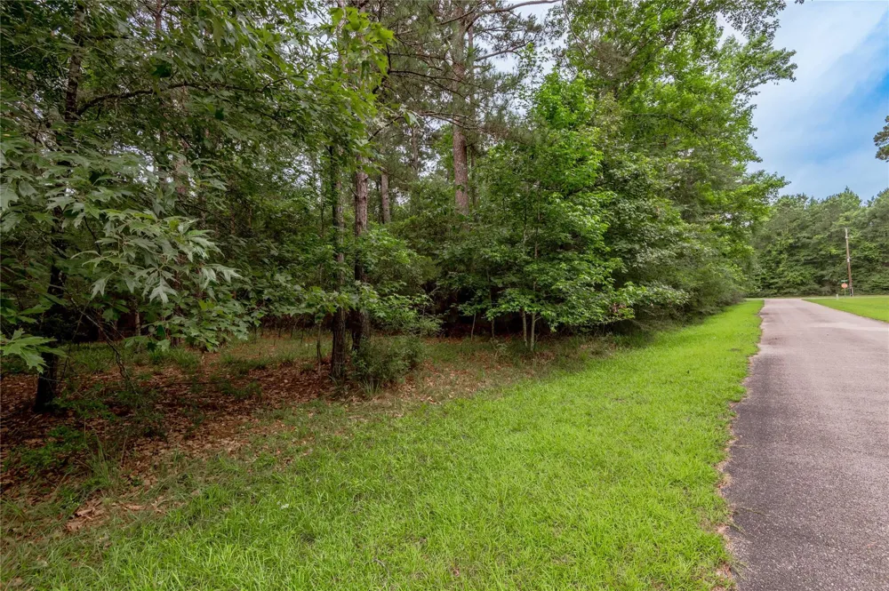 4 Sweetgum Drive Trinity, TX 75862
