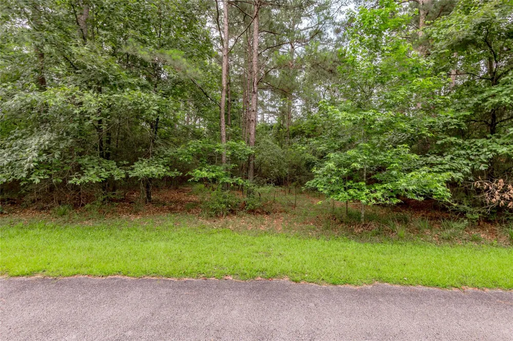 4 Sweetgum Drive Trinity, TX 75862